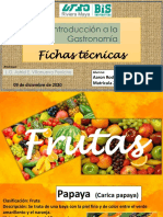 Introd Gastro Fichas-Técnicas