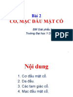 CƠ,MẠC ĐẦU MẶT CỔ