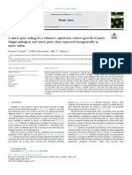 Plant Gene: Patrick F. Dowd, Todd A. Naumann, Eric T. Johnson