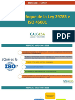 SEMINARIO GRATUIITO SGSST ENFOQUE LEY 29783 e ISO 45001