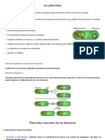 22 05 16 Ingeniería Genética