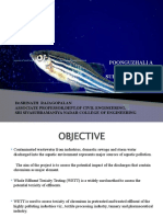 Assessing Toxicity of Industrial Waste Effluents Using Zebrafish