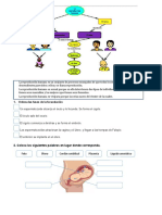 Actividad C y T