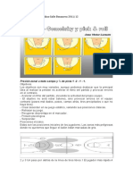 Dossier Cadete Masculino Salle Bonanova 2011