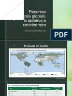 2 Recursos Florestais Globais e Brasileiros
