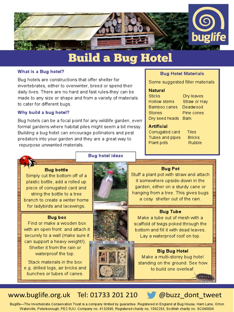 Build A Bug Hotel | PDF | Botany | Horticulture And Gardening