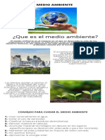 el medio ambiente