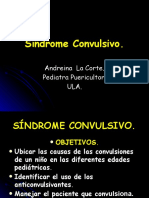 01 - Sindrome Convulsivo - 110741