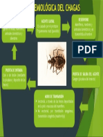 Salud Publica Cadena Epidemiologica Del Chagas