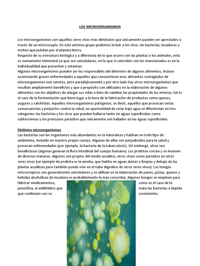Tipos y funciones de microorganismos | PDF | Microorganismo | Virus