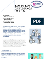 Articulos de Los Derechos Humanos Del 22 Al