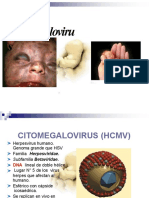 Citomegalovirus Morales Quispe Carmen