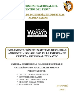 Implementación de Un Sistema de Calidad Ambiental "Wayayo"