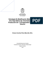 Estrategia de Modificación Metabólica de Una Cepa Nativa de Clostridium para La Producción de 1,3-Propanodiol A Partir de Glicerol