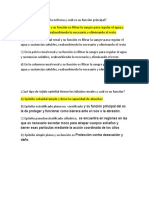 Dónde Está Ubicada La Nefrona y Cuál Es Su Función Principal