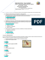 Prueba Diagnostico L y L. Resp.