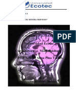 Terminología Sistema Nervioso