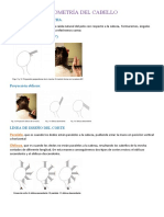 EXPONER PAPELOTE GEOMETRÍA DEL CABELL1