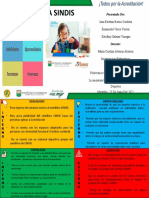 Matriz Dofa Sindis - Investigacion Pedagogica