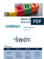 Principles of Management: Swot Analysis
