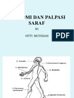 Anatomi Dan Palpasi Saraf