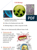 Cell Biology