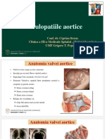 Copia Fișierului Valvulopatii - Aortice - 2018 - 2019