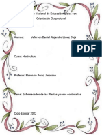 Trabajo de Enfermdedades de Horticultura