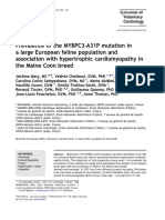 Prevalence of The MYBPC3-A31P Mutation in A Large European Feline Population and Association With Hypertrophic Cardiomyopathy in The Maine Coon Breed