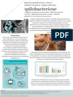 Campylobacteriose: sintomas, transmissão e diagnóstico