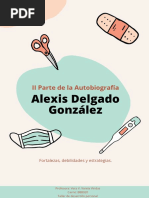 Fortalezas y Debilidades