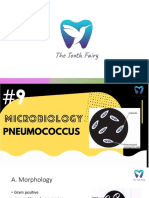 Pneumococcus