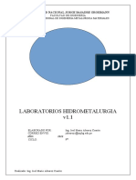 GUIA (Hidrometalurgia) V1.0