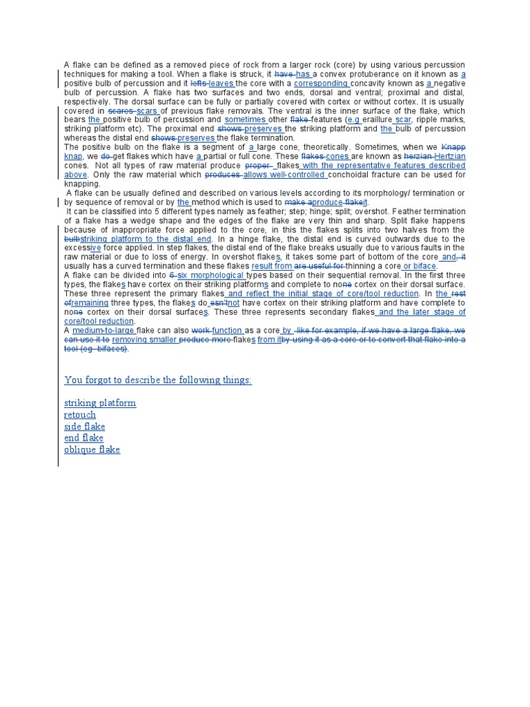 Long Definition of Flake PDF Tools Stone Age