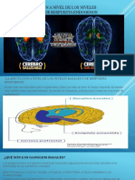 Afectación A Nivel de Los Niveles Basales y de Respuesta Endogenos
