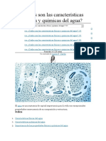 Cuáles Son Las Características Físicas y Químicas Del Agua