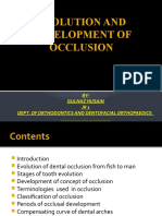 Development of Occlusion