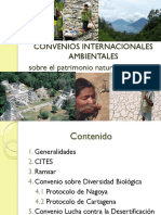 4 Convenios Inernacionales Ambientales, Cites, Ramsar