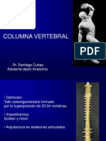 Columna Vertebral