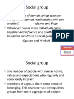 Social Group (P1, C 2.2)