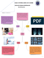 Concept Map