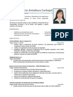 Zulma Antallaca Carbajal CV Documentado