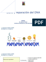 Daño y reparación DNA