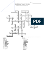 Vocabulary / Nouns Review: Across Down