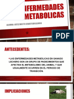 Enfermedades Metabolicas- Ortiz Matta Sebastian Alonso