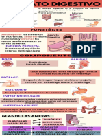 Infografia-Aparato Digestivo