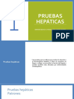 Pruebas de Funcion Hepatica