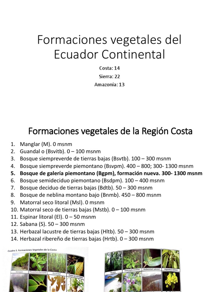 Formaciones Vegetales Del Ecuador Continental Costa Sierra Amazonía