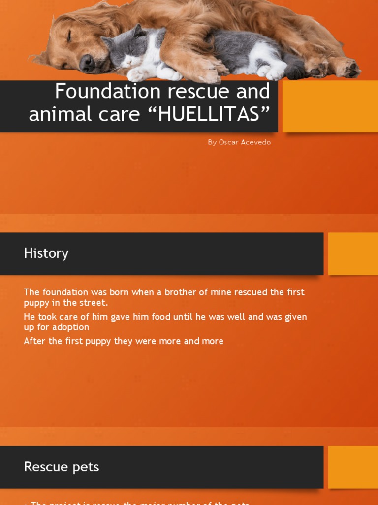 Foundation Rescue and Animal Care | PDF