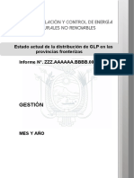 2.1. Formato Informe - VF - 28-01-2021